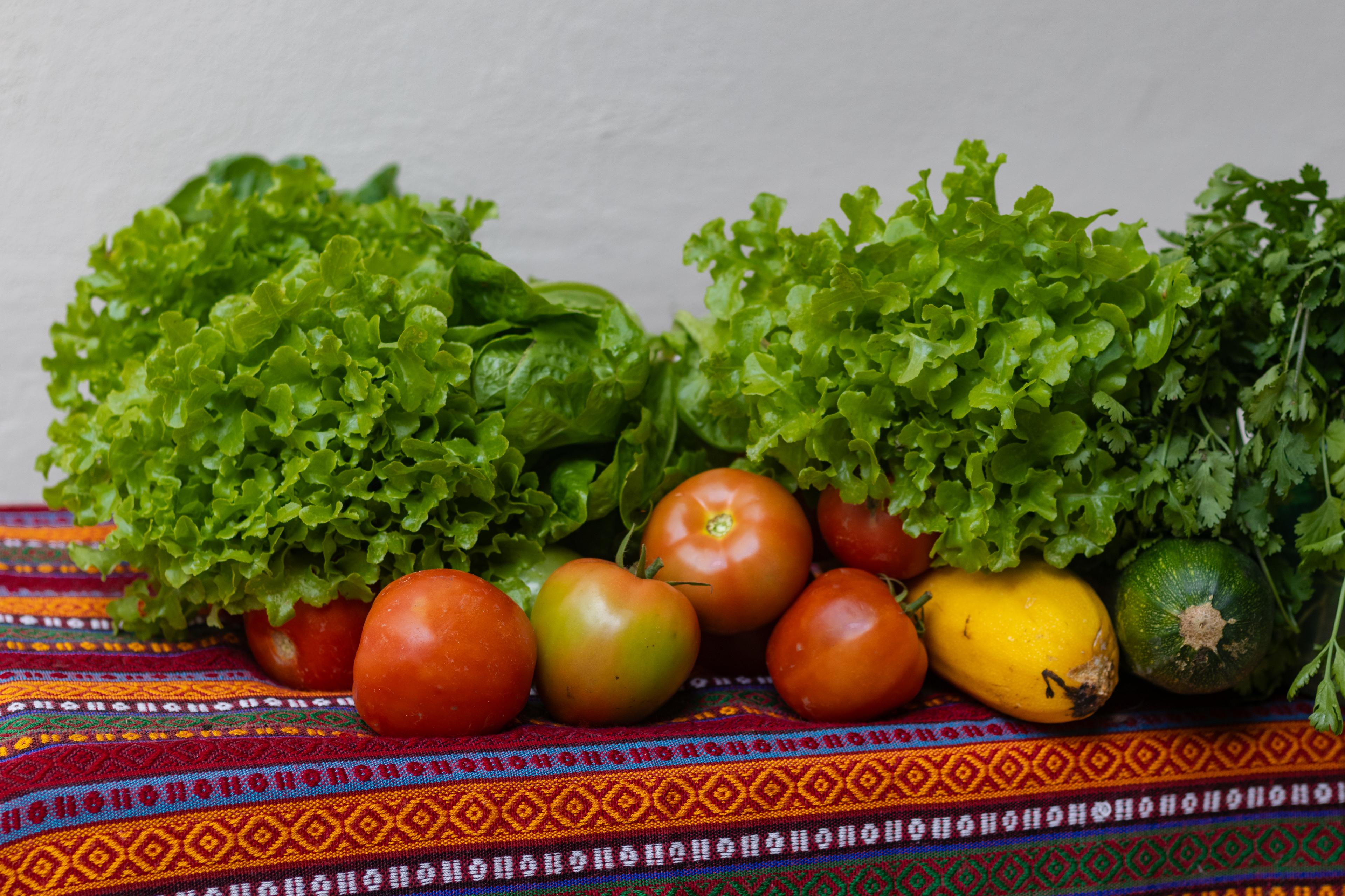 Hortalizas frescas cultivadas en Fredonia
