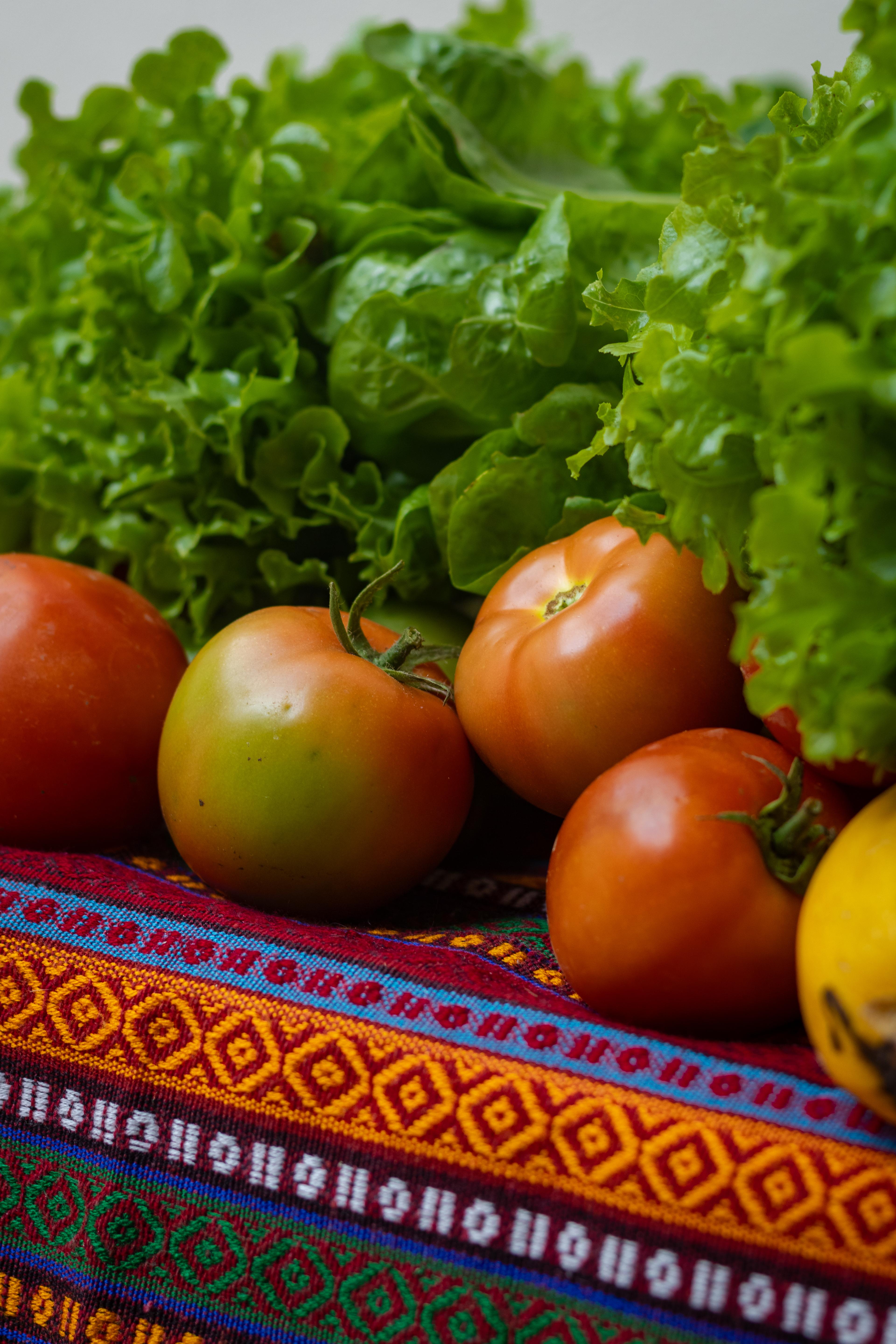Mujeres de Raíz Es con canasta de productos orgánicos del territorio