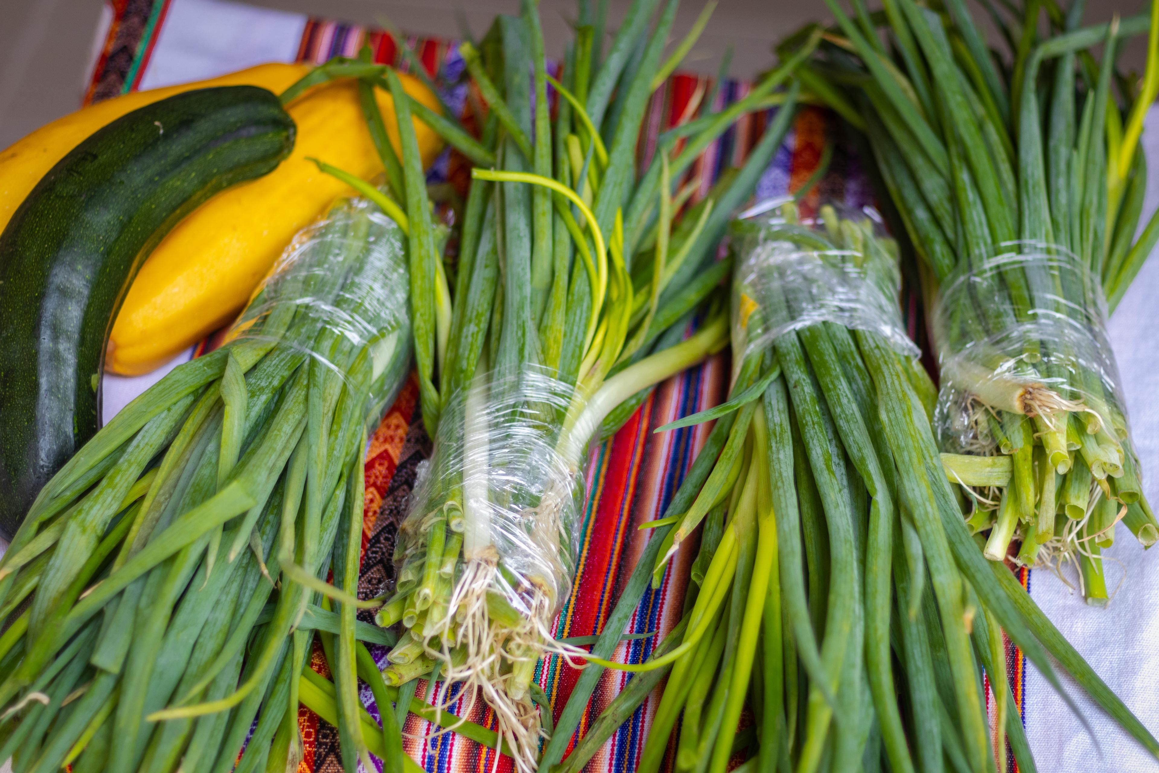 Cebollas orgánicas de Raíz Es