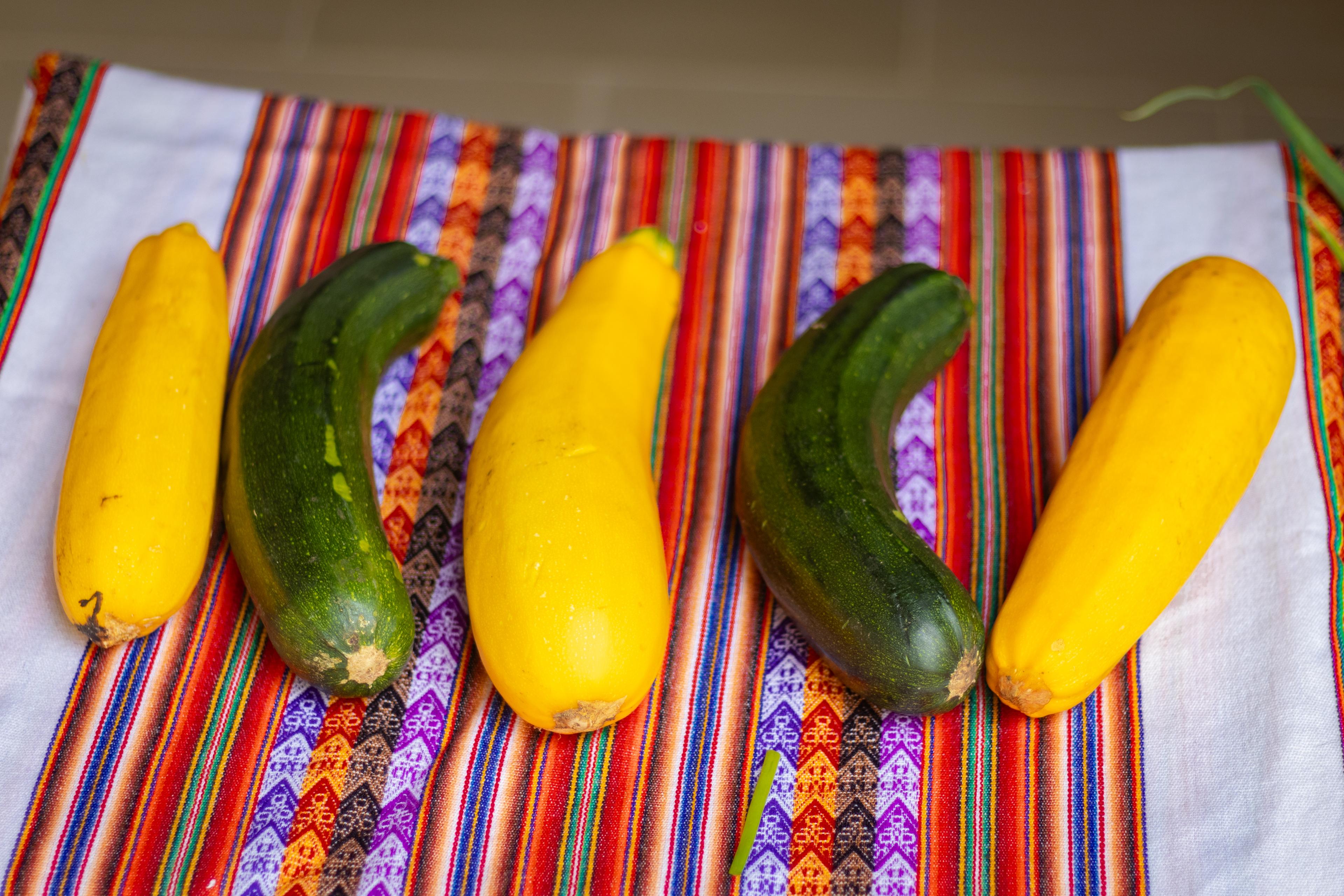 Zucchinis orgánicos de Raíz Es