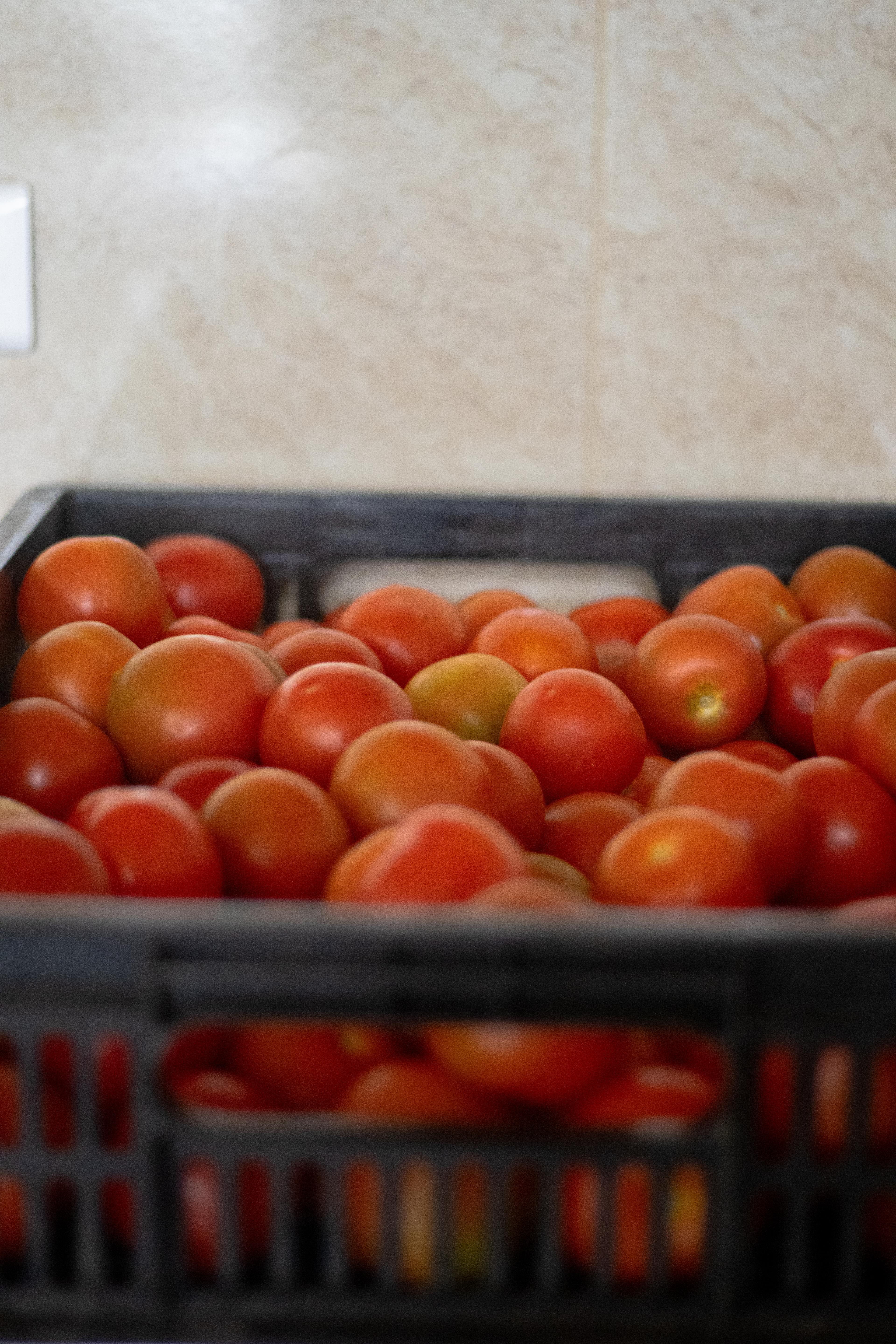 Conservas artesanales de frutas de Raíz Es