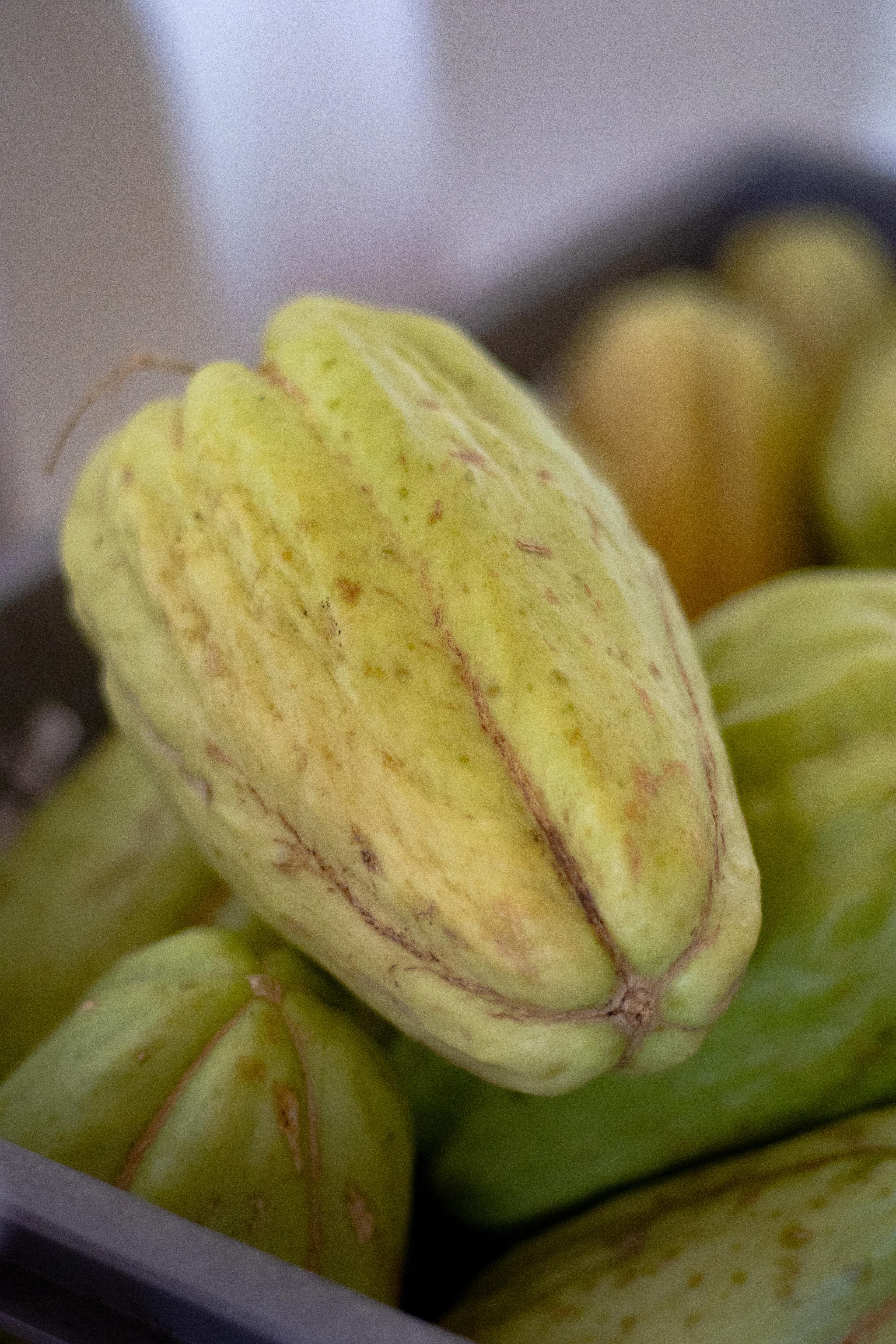 Cidra (chayote) orgánica de Raíz Es