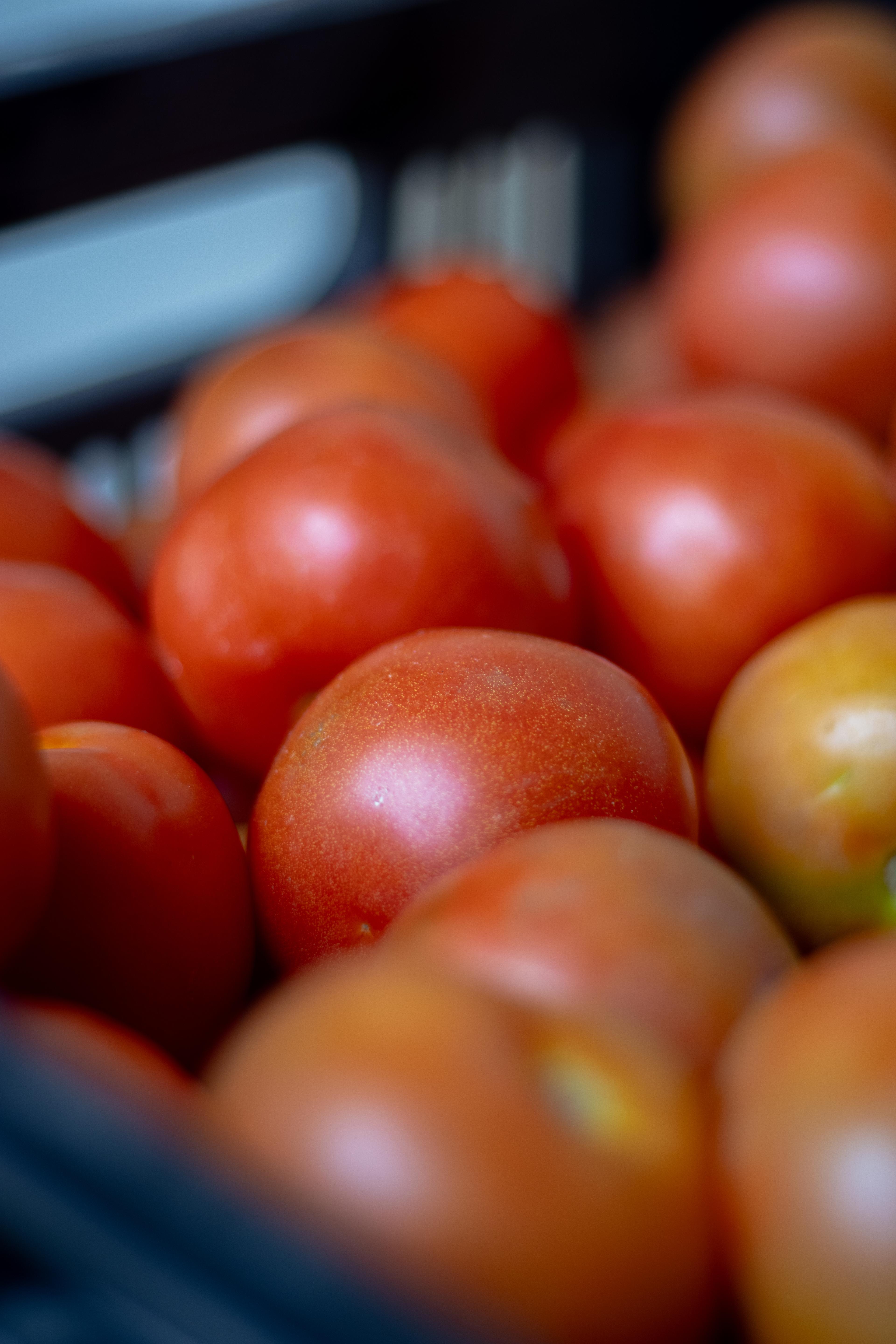 Tomates orgánicos de Raíz Es