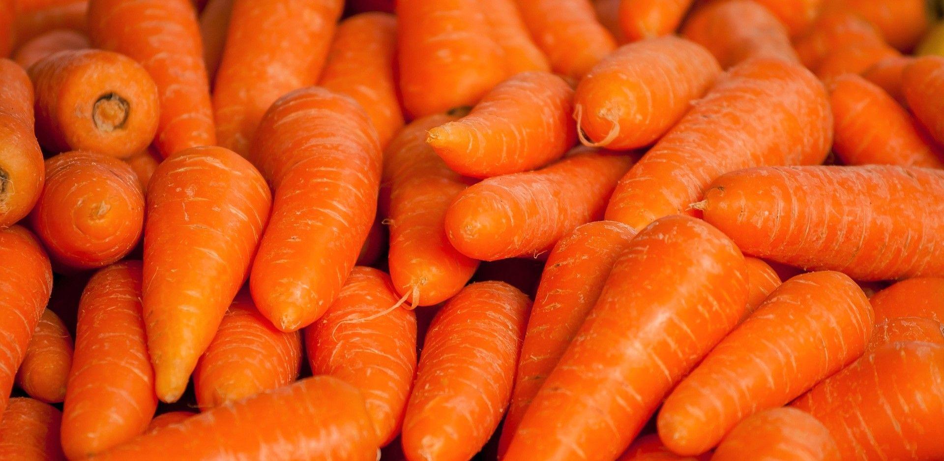 Zanahorias orgánicas de Raíz Es